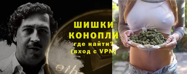 дживик Киренск